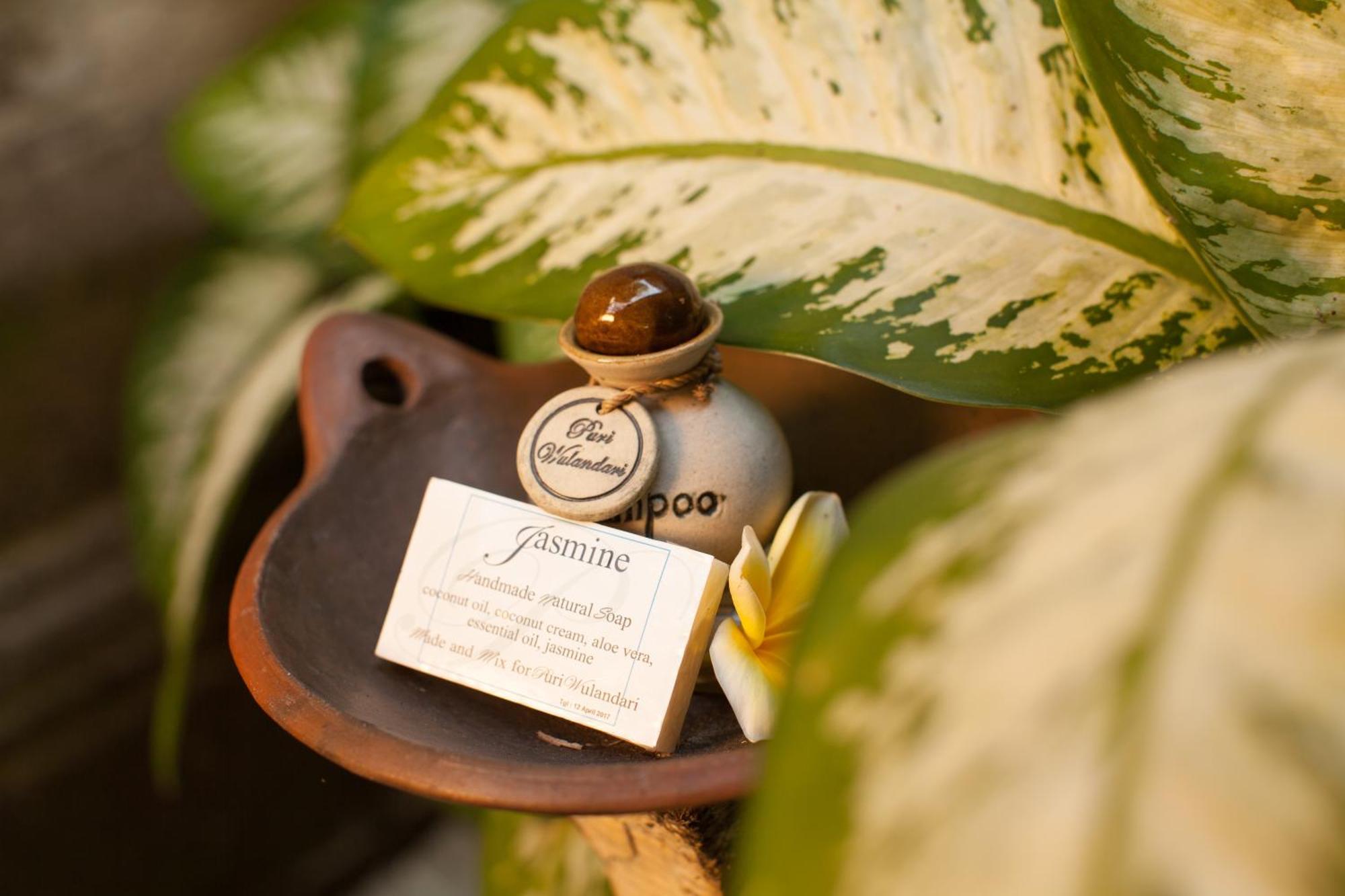 Puri Wulandari A Boutique Resort & Spa Ubud Exterior foto
